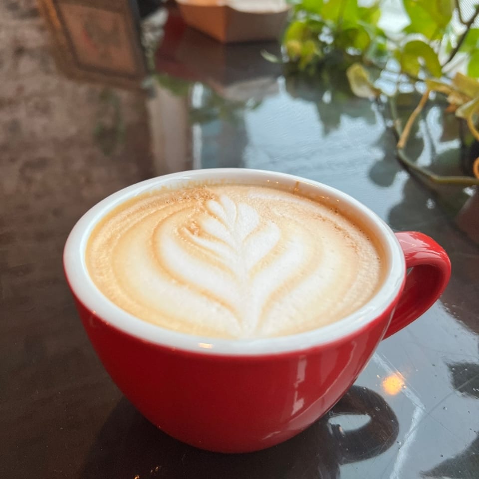 Indulge in Our Lattes